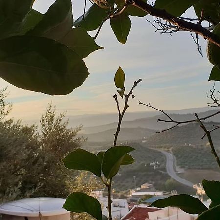 Mirador Del Olivar Olvera Esterno foto
