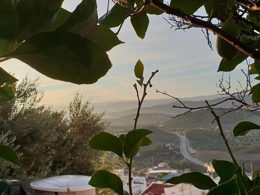 Mirador Del Olivar Olvera Esterno foto