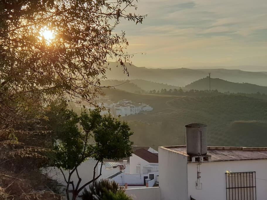 Mirador Del Olivar Olvera Esterno foto